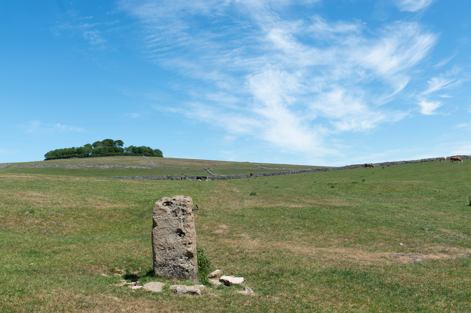 An image depicting the trail High Peak Trail and its surrounding area.