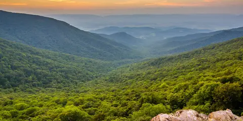 An image depicting the trail Neighbor Mountain - Jeremeys Run Trail and its surrounding area.