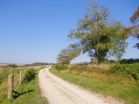 An image depicting the trail Burpham Country Park Circular Walk and its surrounding area.