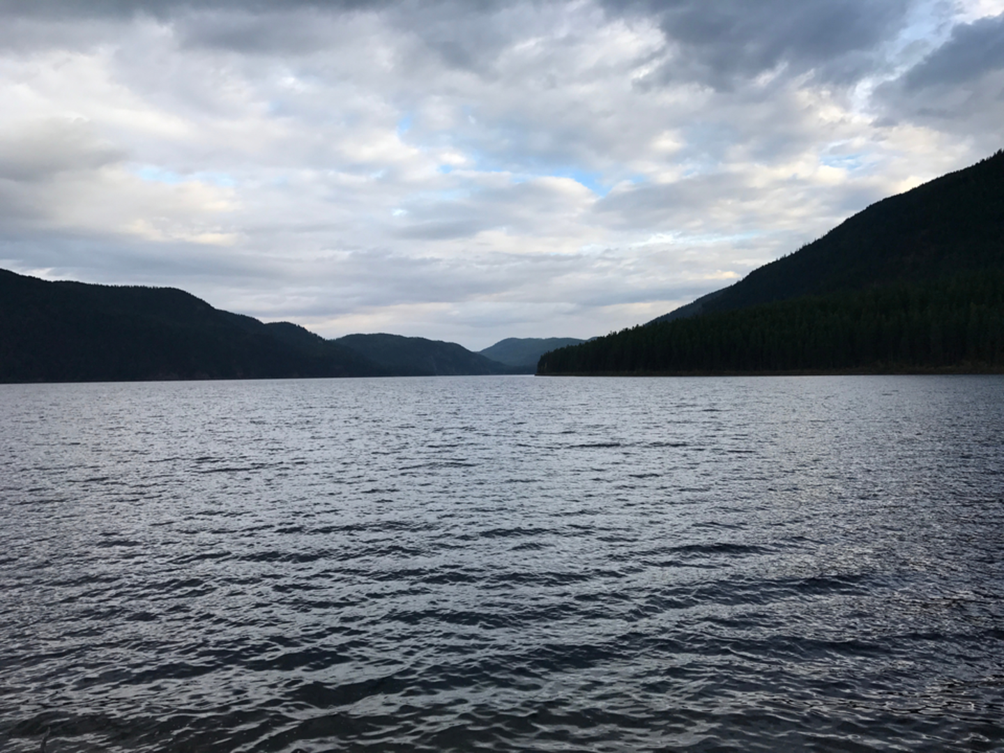 An image depicting the trail Boney Gulch Trail and its surrounding area.