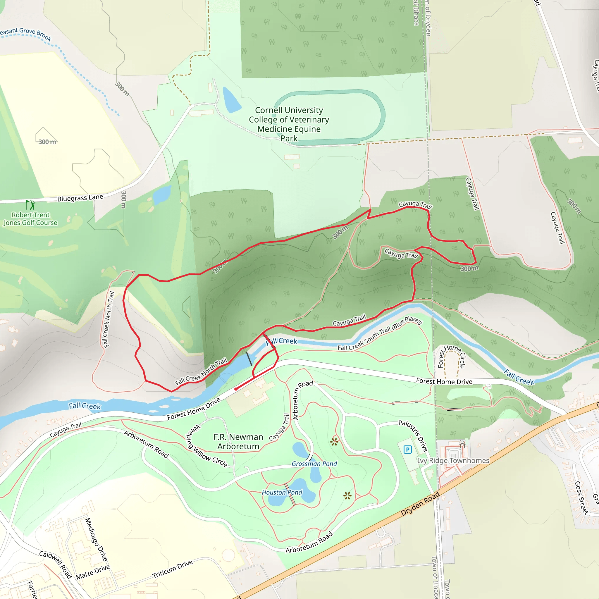 Cayuga Trail and Fall Creek North Loop Trail mobile static map