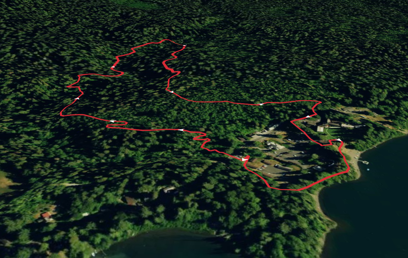 Quinault Loop Trail - Short