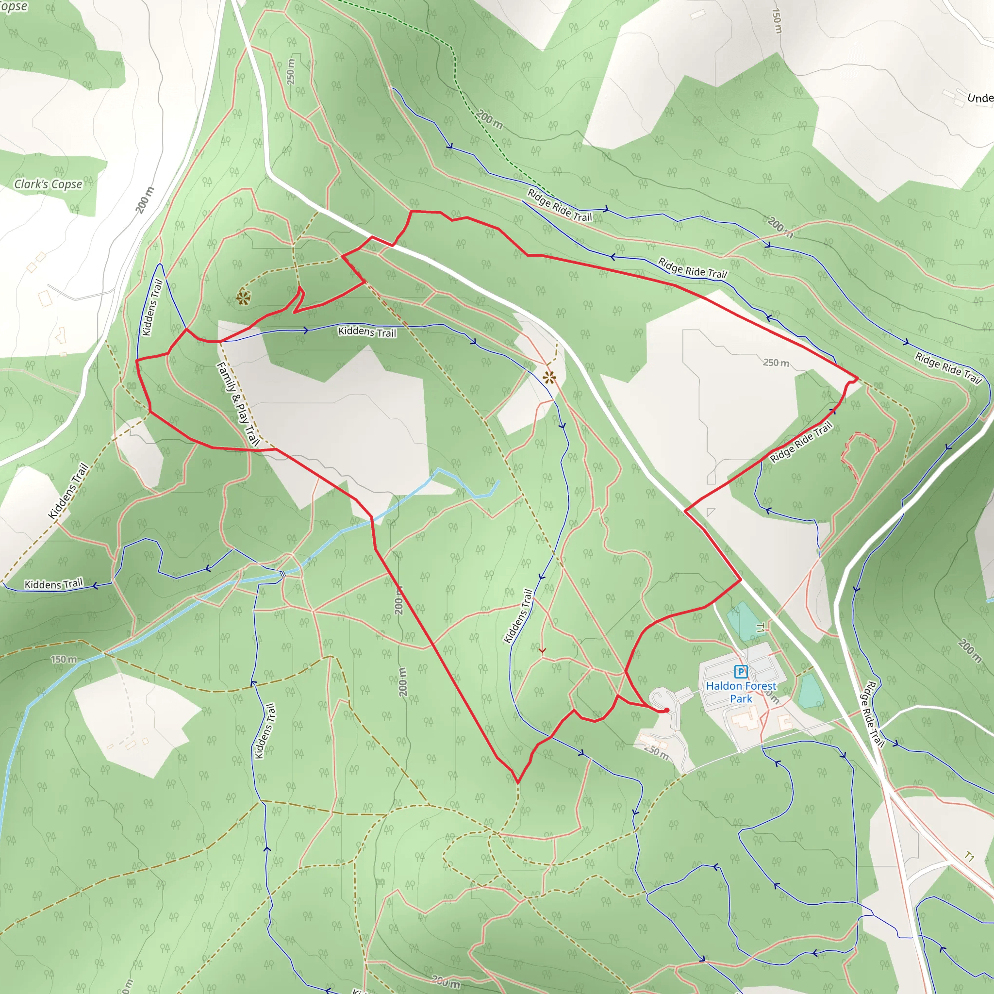 Haldon Forest Park Loop mobile static map