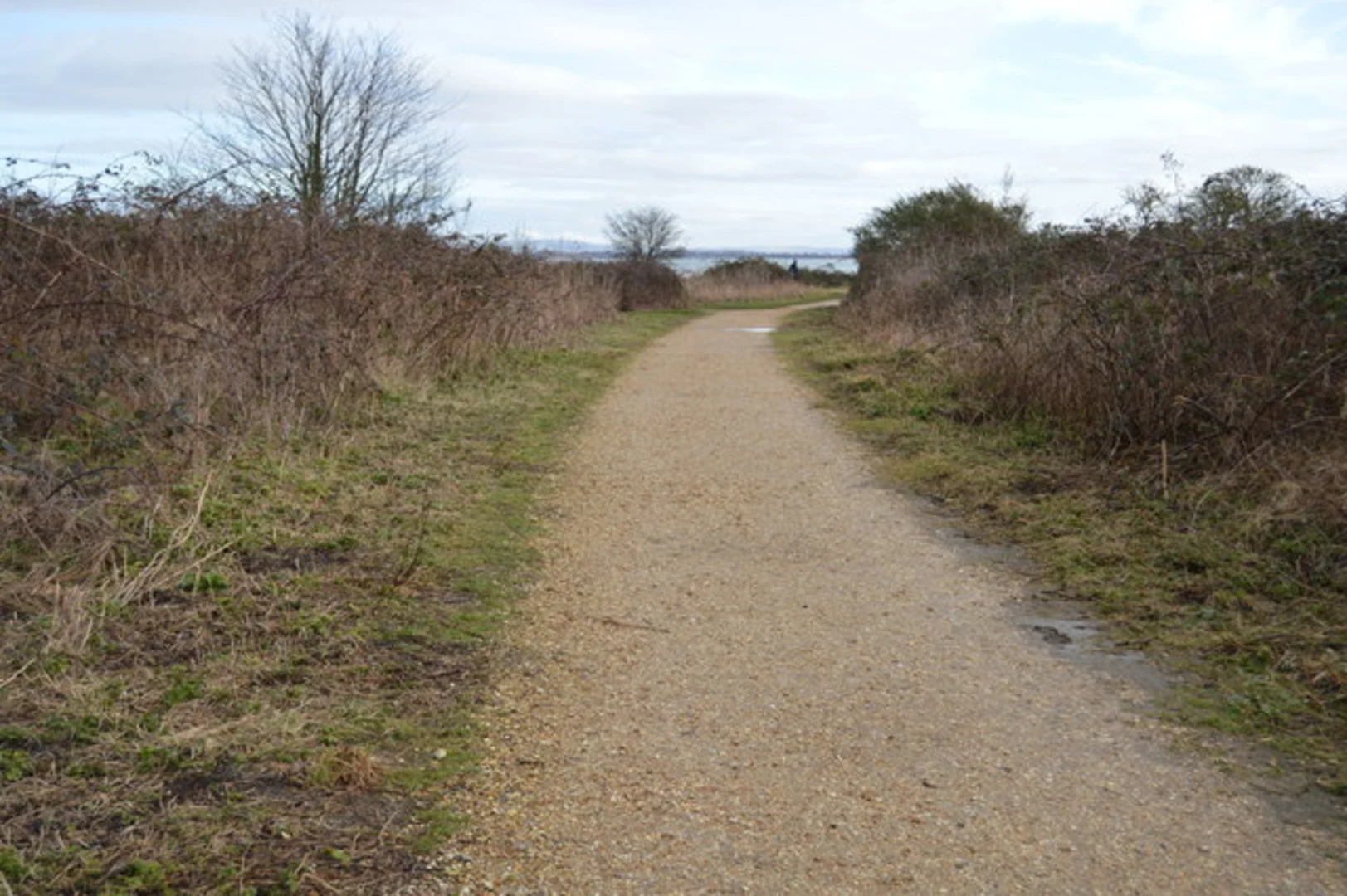 An image depicting the trail Milton Locks to Milton Common Loop and its surrounding area.