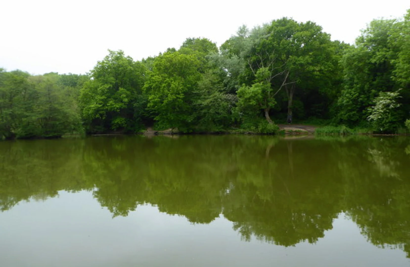 An image depicting the trail Reed Pond Walk and its surrounding area.