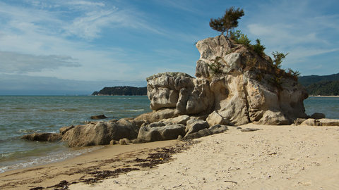 Holyoaks Clearing Shelter and Akserson Bay Loop
