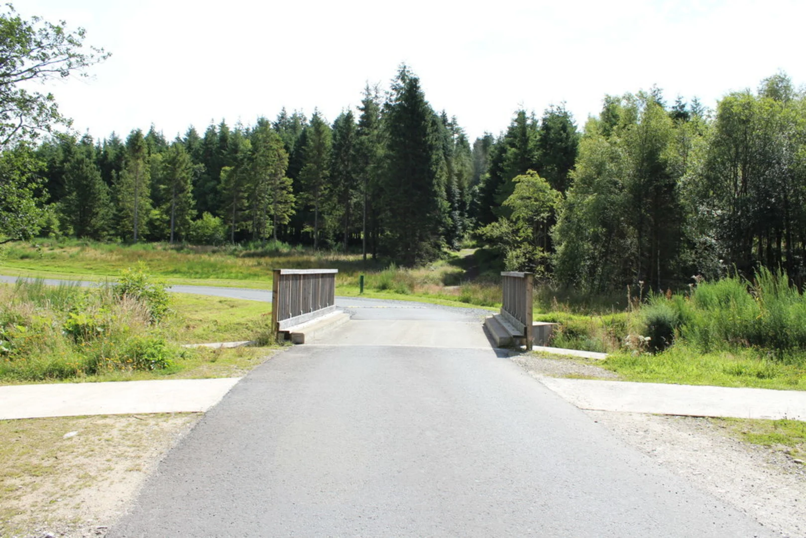An image depicting the trail Wild Watch Trail - Kirroghtree Park and its surrounding area.