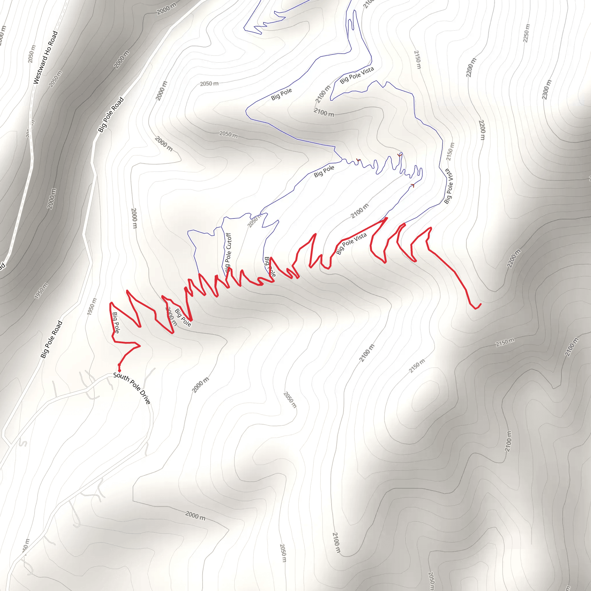 Big Pole Vista mobile static map