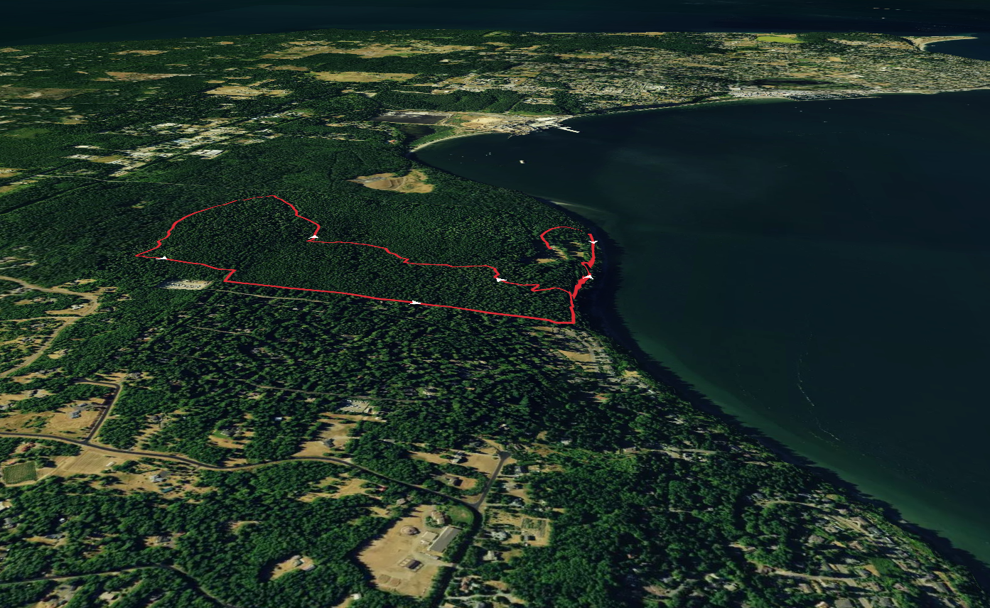 Fern Garden Trail and Rgododendron Trail