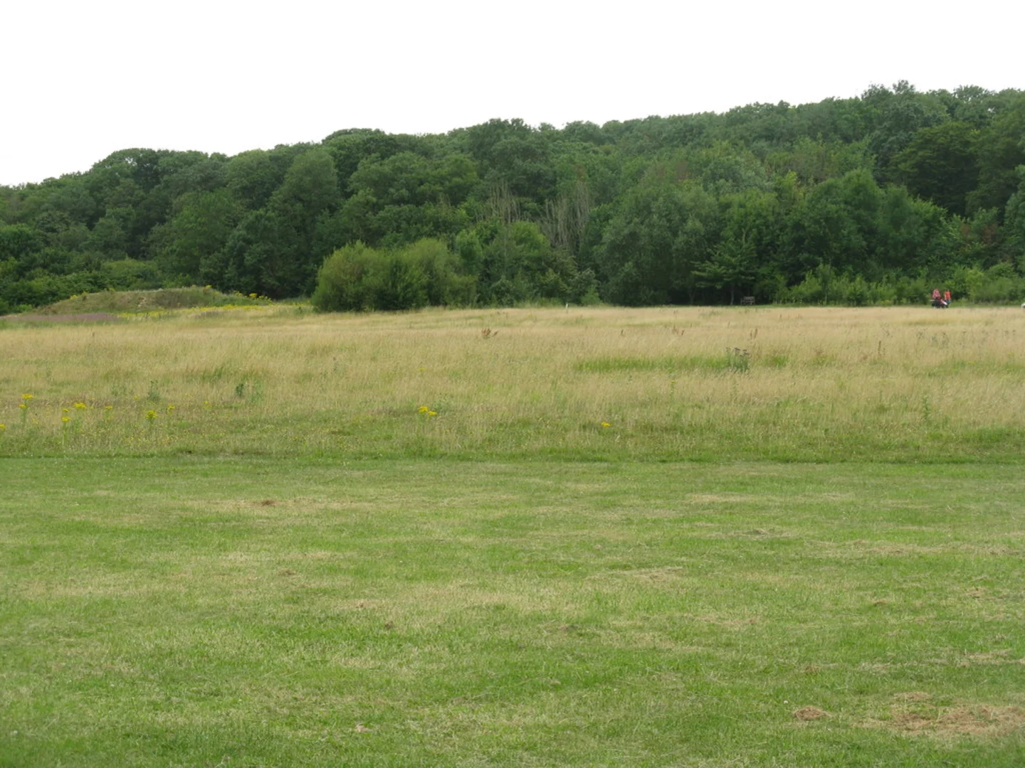 An image depicting the trail Hinchingbrooke Country Park and Main Lake Loop and its surrounding area.