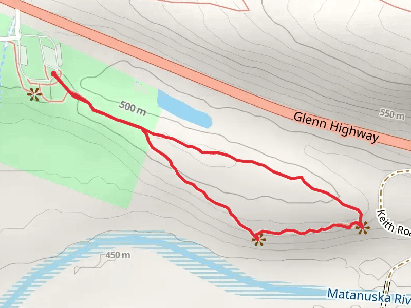 Matanuska Glacier State Recreation Site Loop