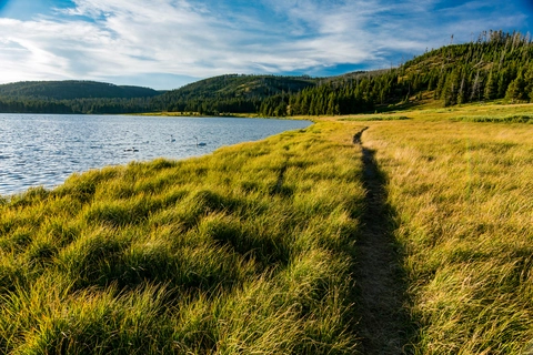 An image depicting the trail Wolf Lake Trail and its surrounding area.