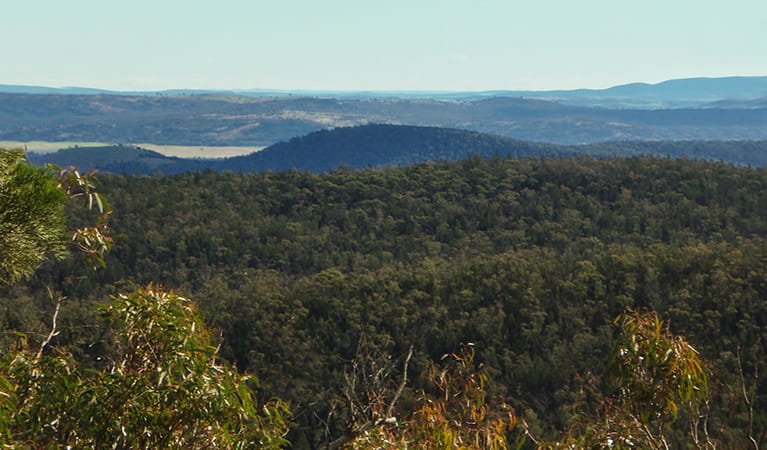 An image depicting the trail Conimbla National Park and its surrounding area.