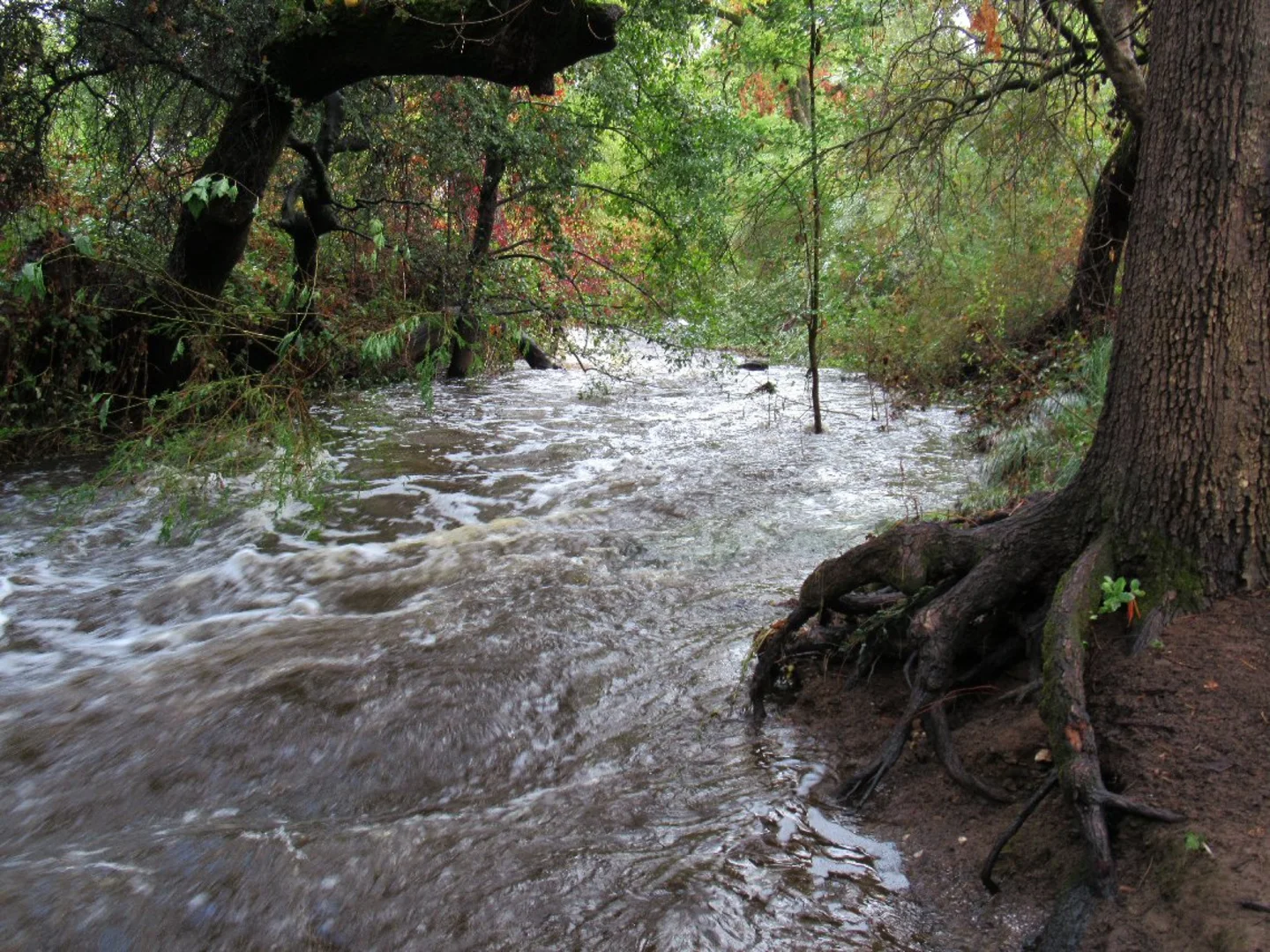 An image depicting the trail Humbug Willow Creek Trail Out and Back and its surrounding area.