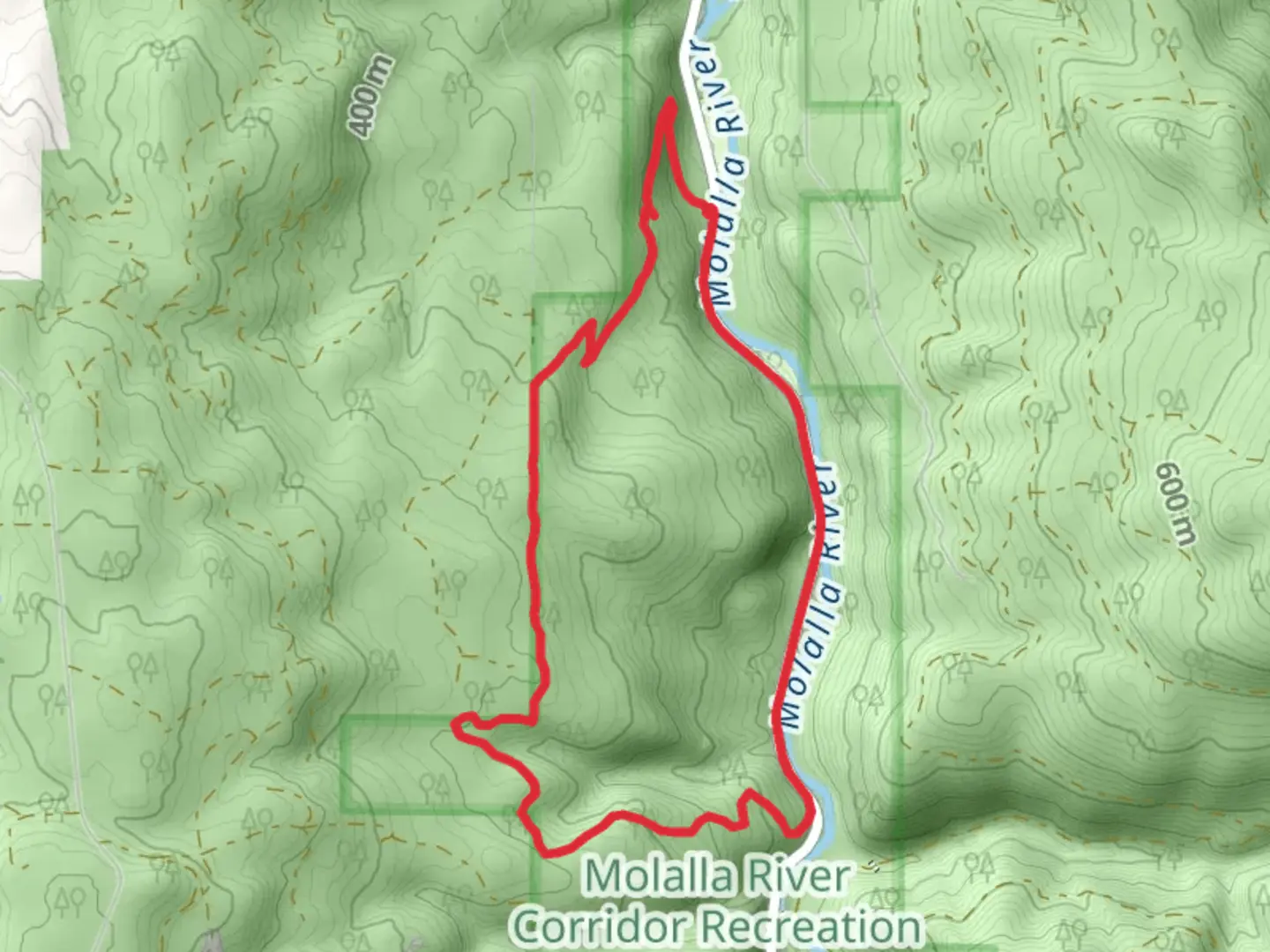 An image depicting the trail Rim Trail and Bob Cat Road Loop Trail and its surrounding area.