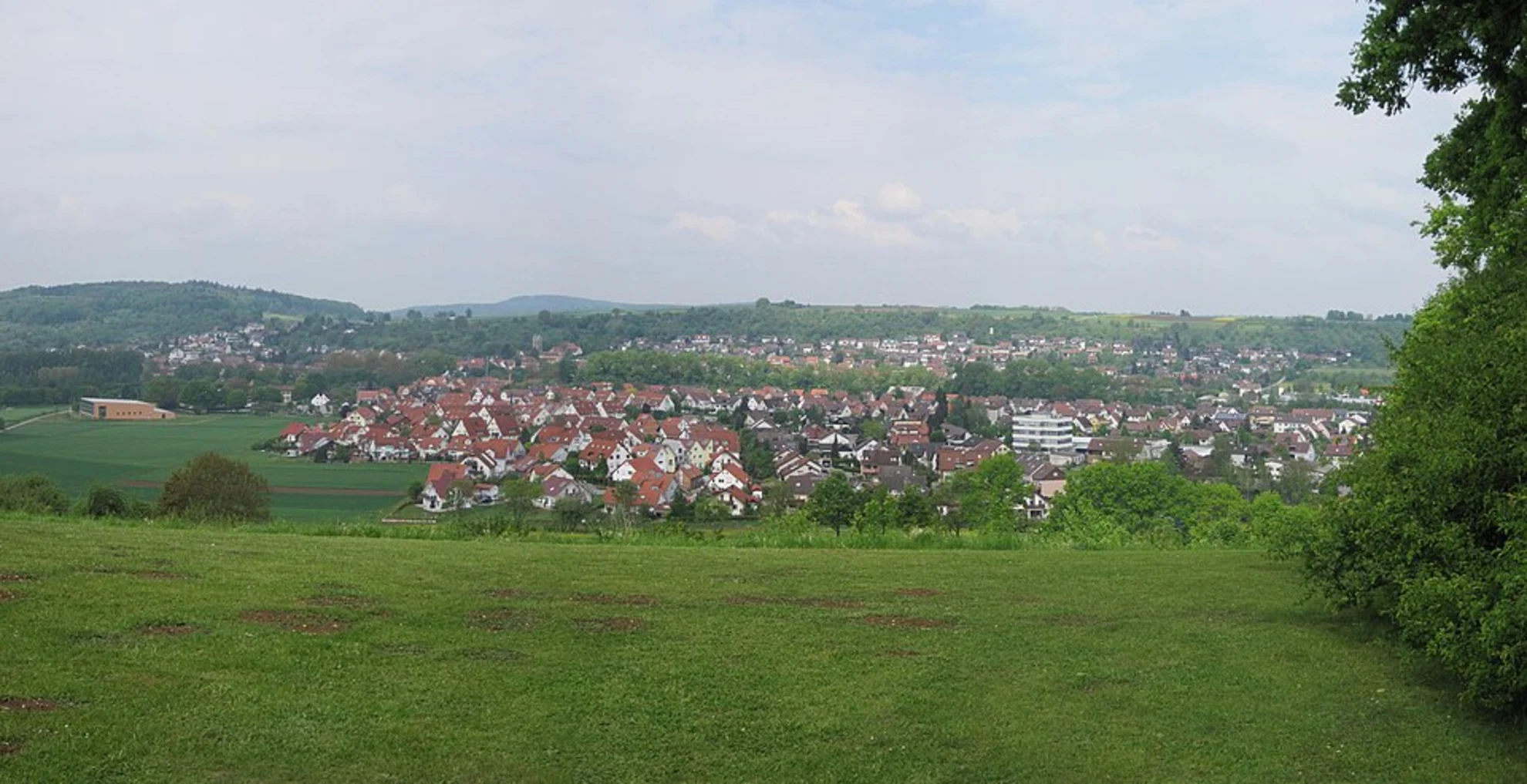 An image depicting the trail Neckar Loop and its surrounding area.