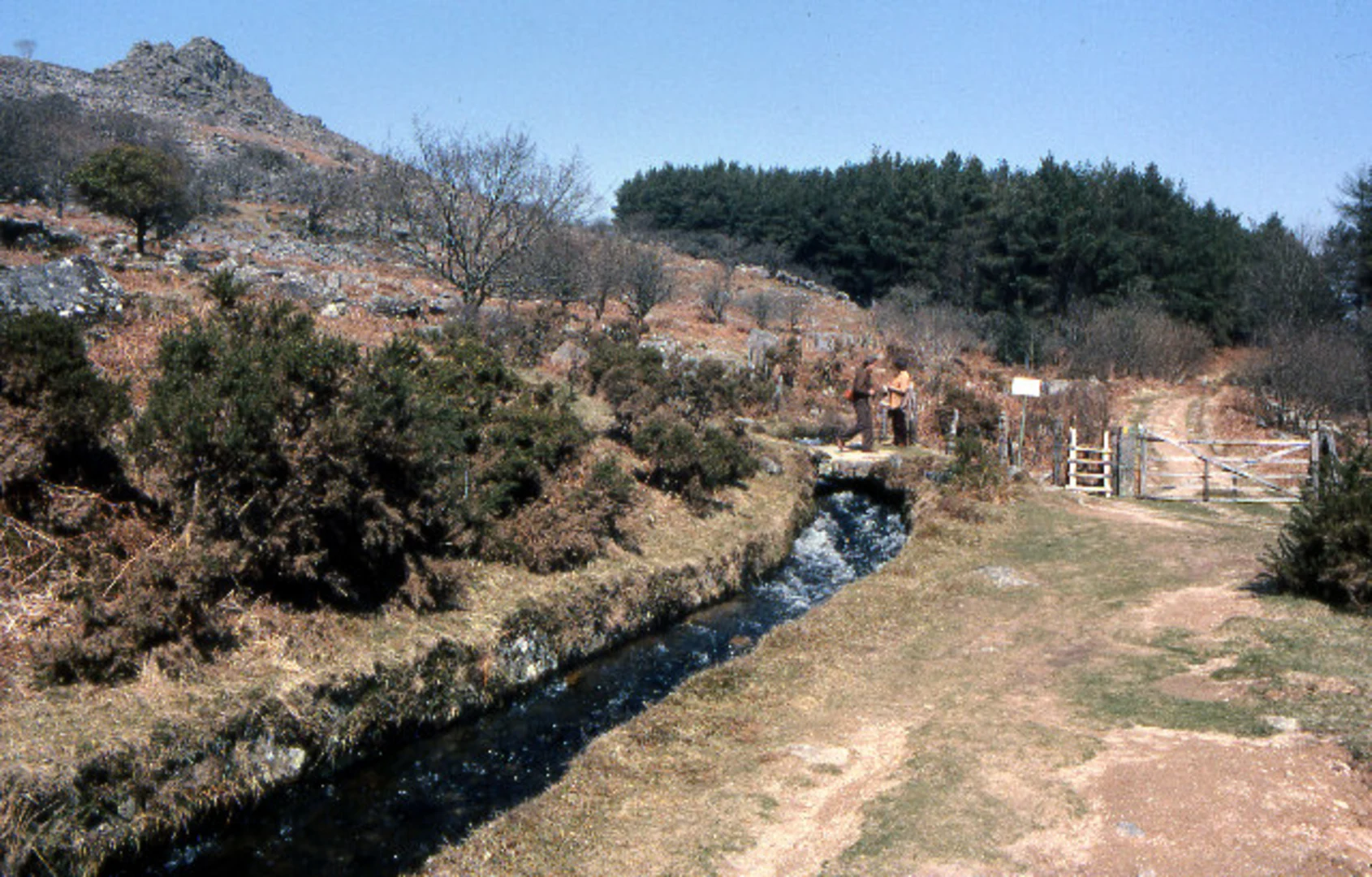 An image depicting the trail Foggintor Quarries, Swelltor Quarry and Lower Leather Tor Walk and its surrounding area.