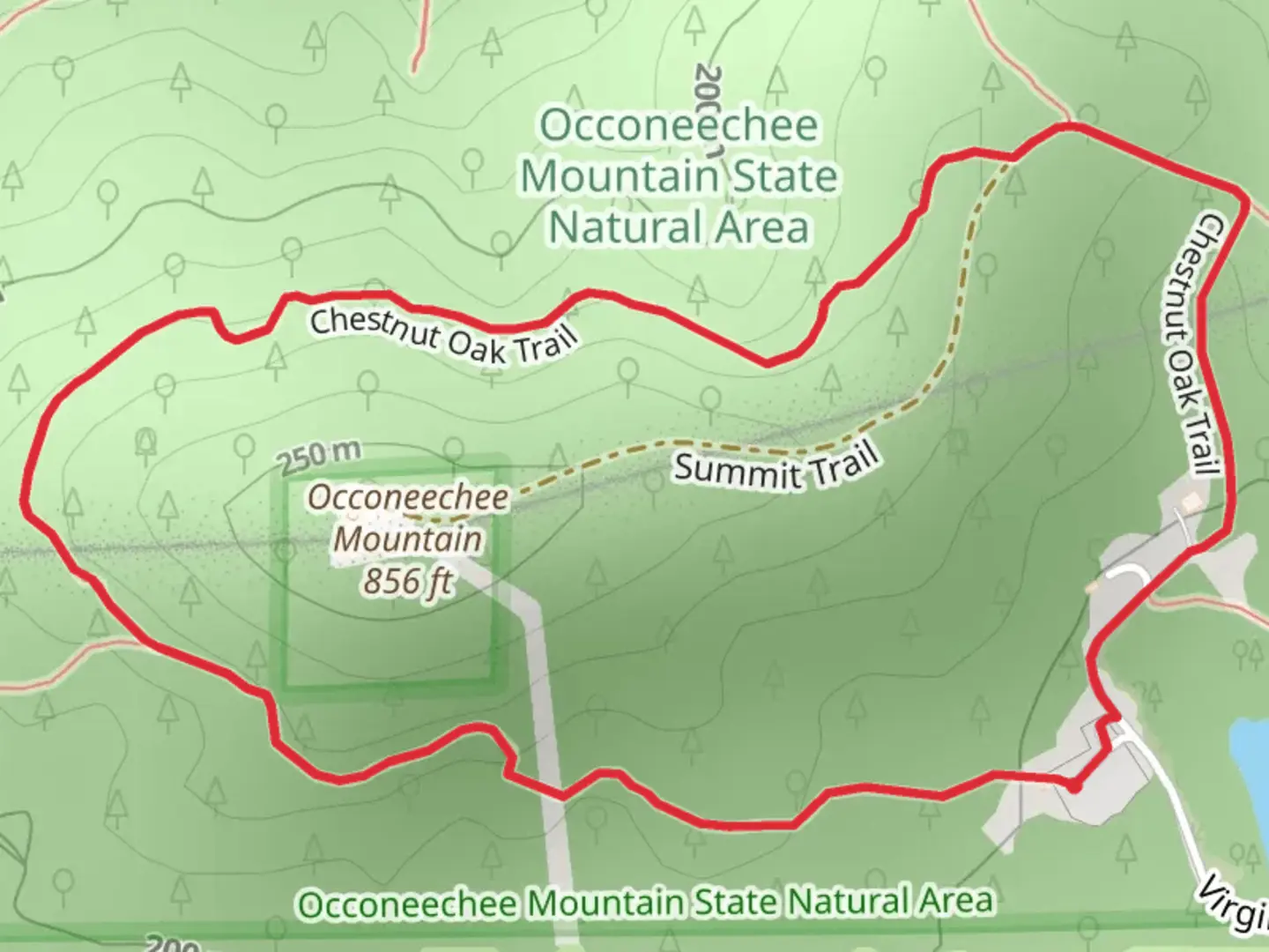 An image depicting the trail Chestnut Oak Trail and its surrounding area.