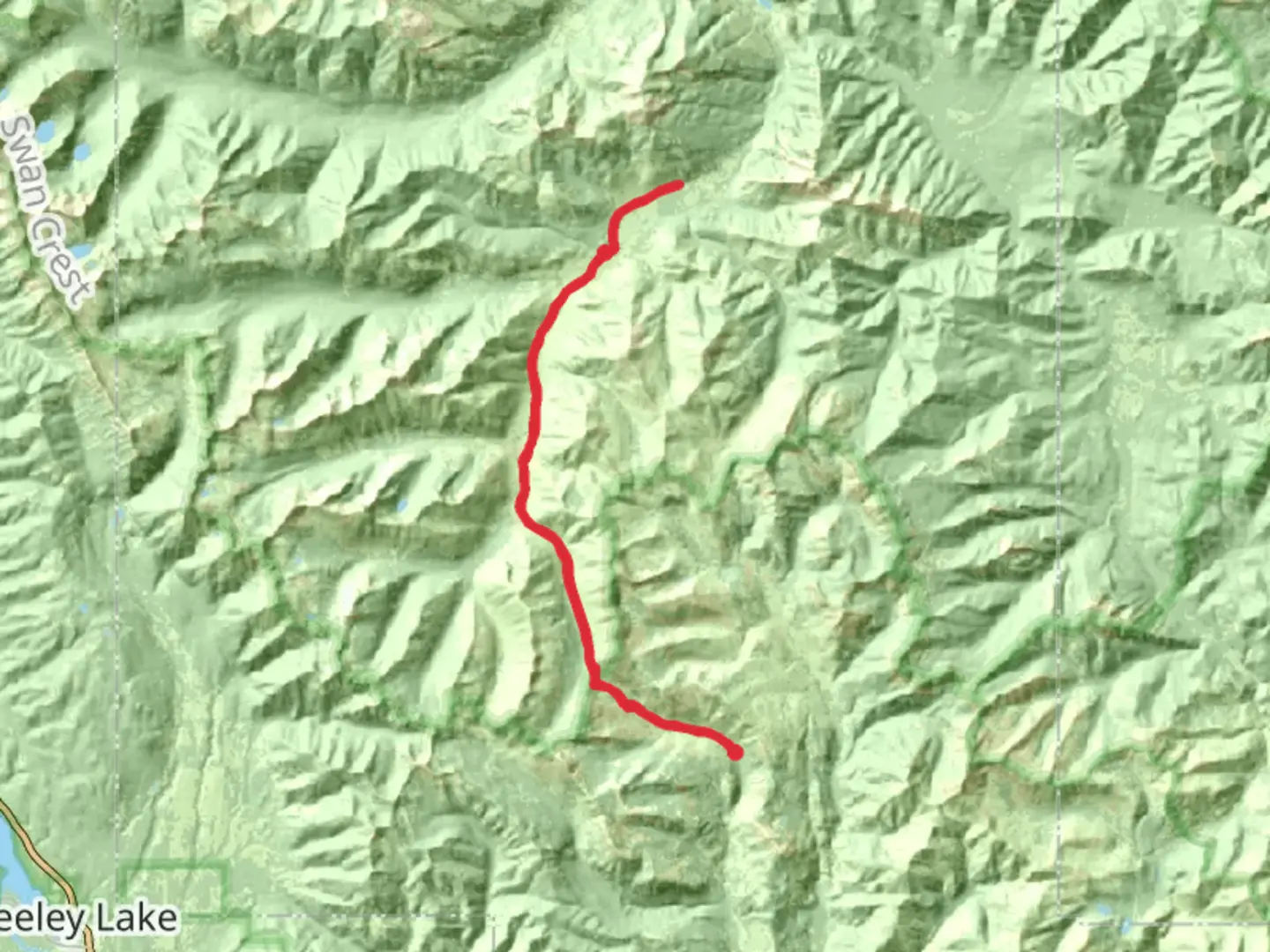 An image depicting the trail Youngs Creek via Lodgepole Trail and its surrounding area.