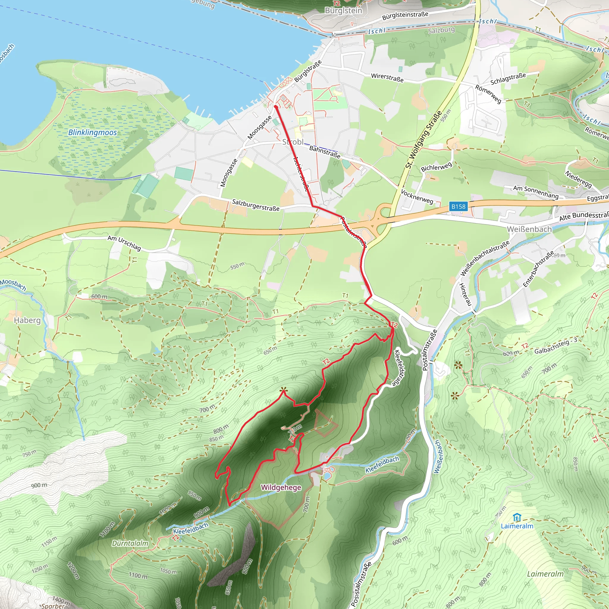 Brustwandrunde Loop mobile static map