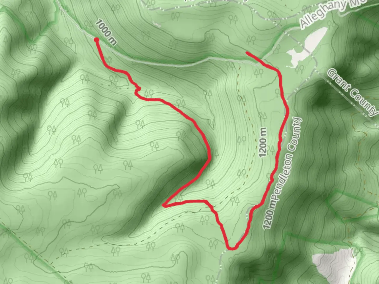 An image depicting the trail South Prong Trail and 19 View Trail and its surrounding area.