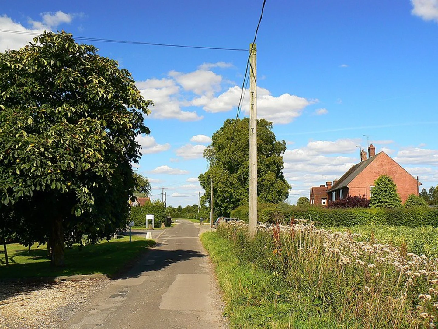 An image depicting the trail Lambourn Valley from Great Shefford and its surrounding area.
