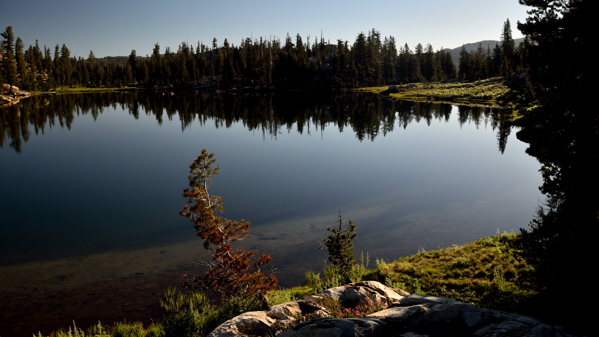 An image depicting the trail Toejam Lake via Gianelli Trail and its surrounding area.