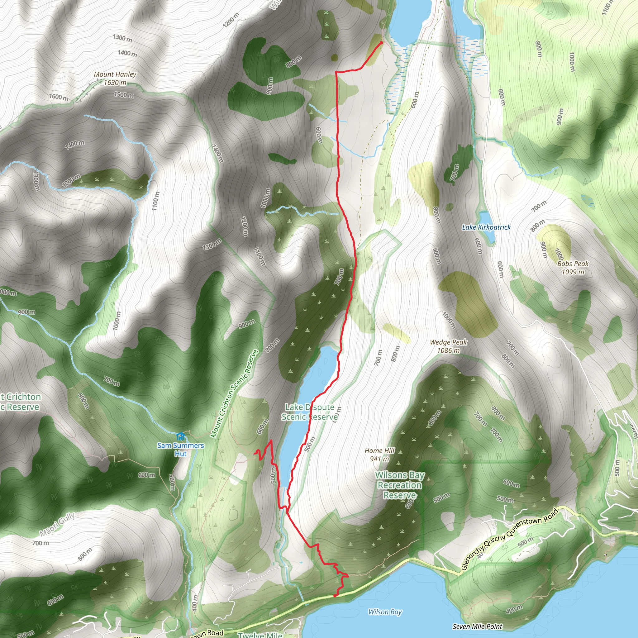 Lake Dispute to Moke Lake Track mobile static map
