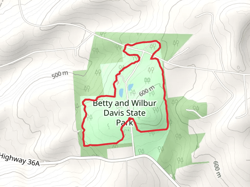 Andy's Loop Trail mobile static map