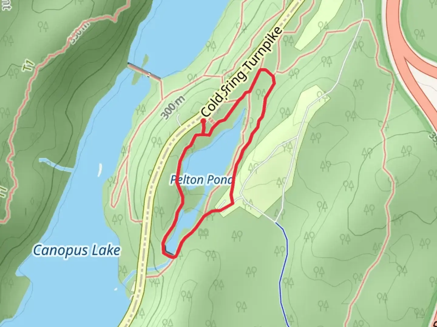 An image depicting the trail Pelton Pond Loop Trail and its surrounding area.