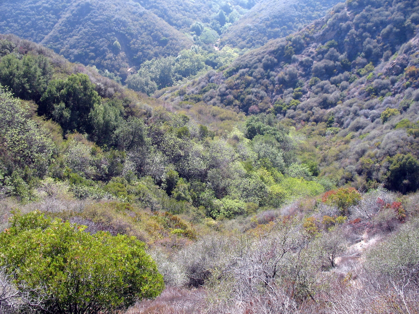 An image depicting the trail Inspiration, High Point and Rivas Ridge Loop Trail and its surrounding area.