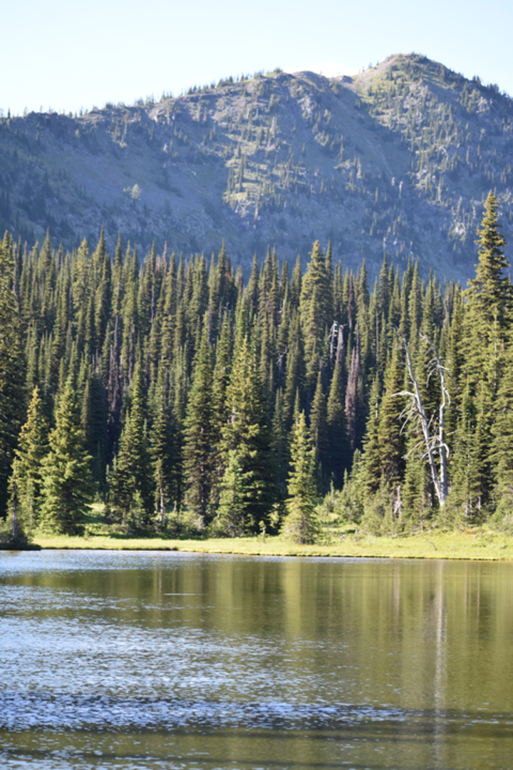 An image depicting the trail Paradise Lake and Bluebird Lake Trail and its surrounding area.