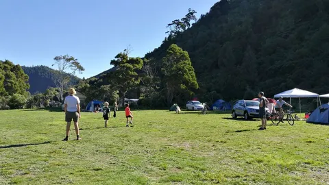 Nga Taonga Nature Walk