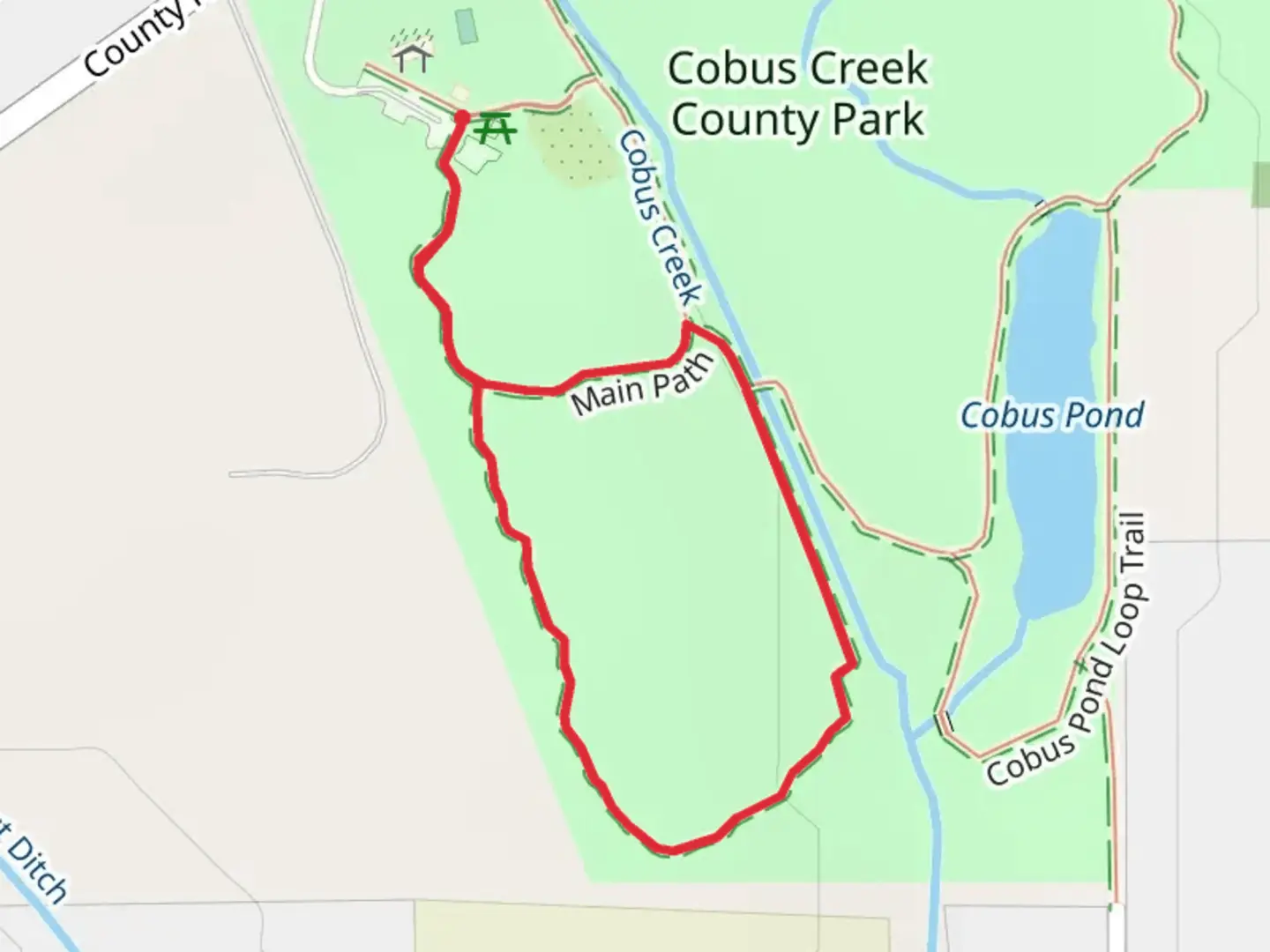 An image depicting the trail Cobus Creek Loop and its surrounding area.