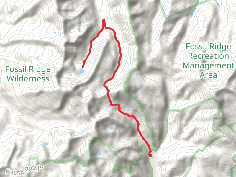 Henry Lake and South Lottis Trail