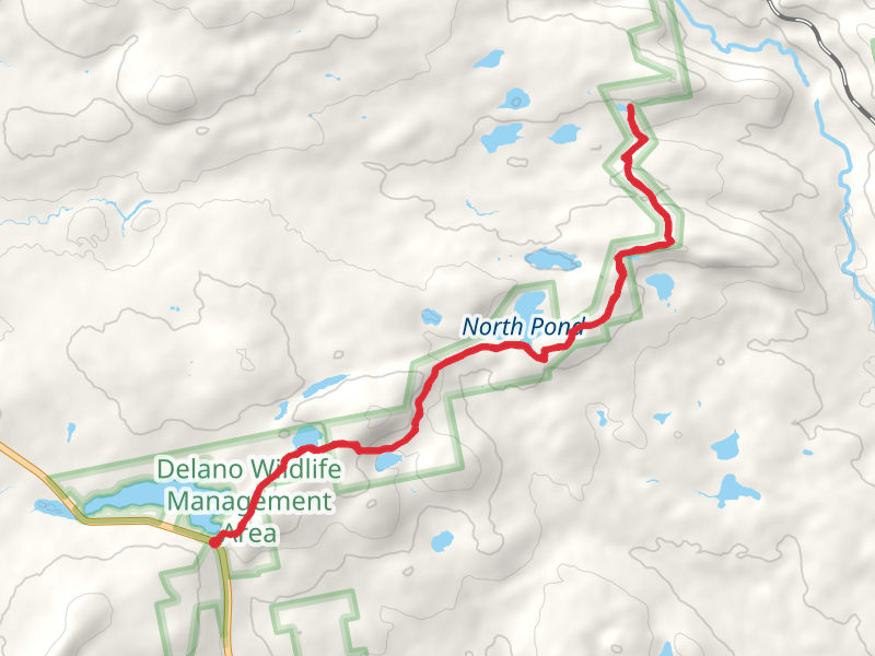 Bell Pond, Lily Pond, North Pond, Bear Pond