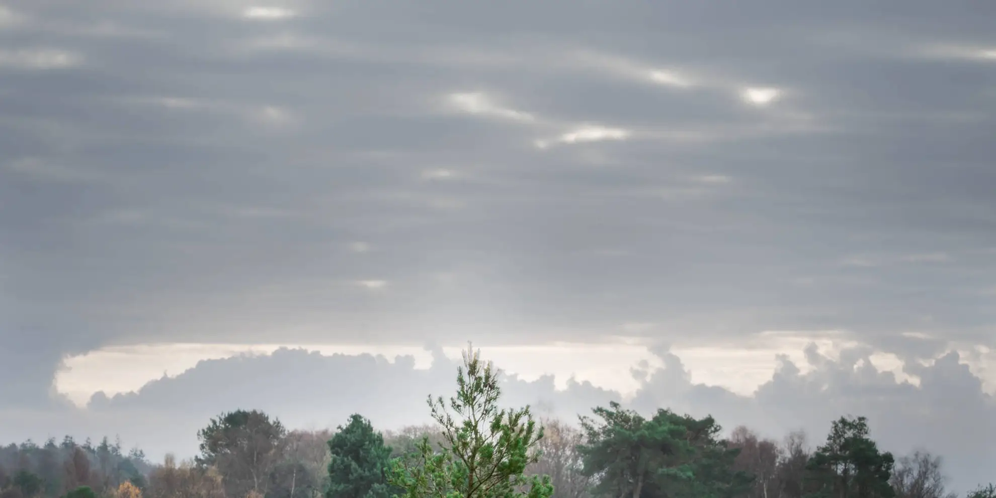 An image depicting the trail Mutter's Moor and Peak Hill Walk and its surrounding area.
