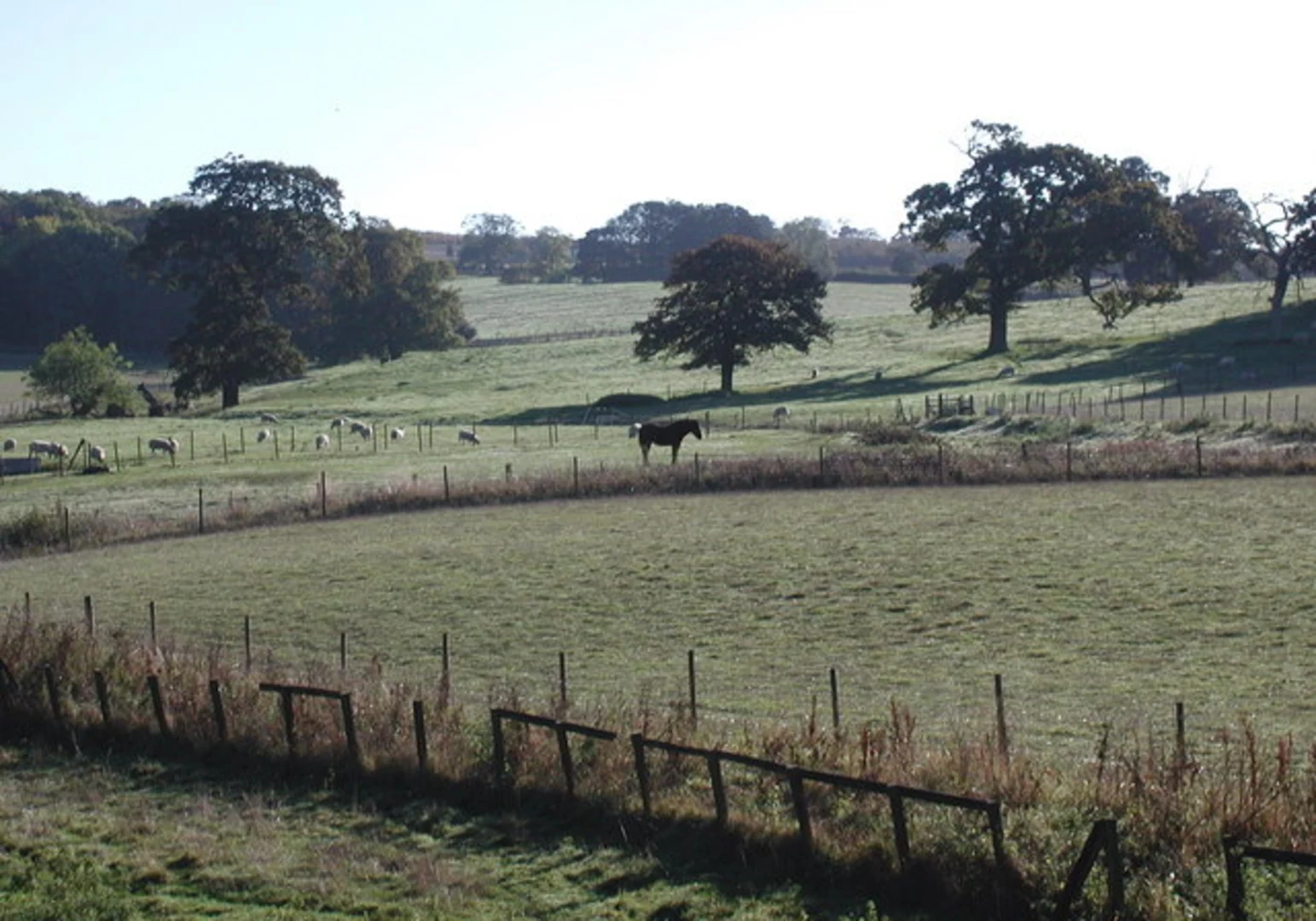 An image depicting the trail Pocklington, Millington and Bishop Wilton Loop and its surrounding area.