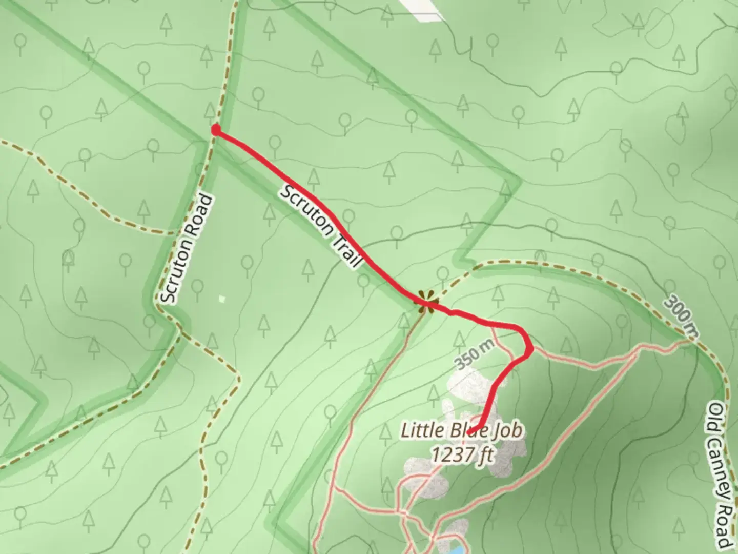 An image depicting the trail Little Blue Job Trail and Scruton Trail and its surrounding area.