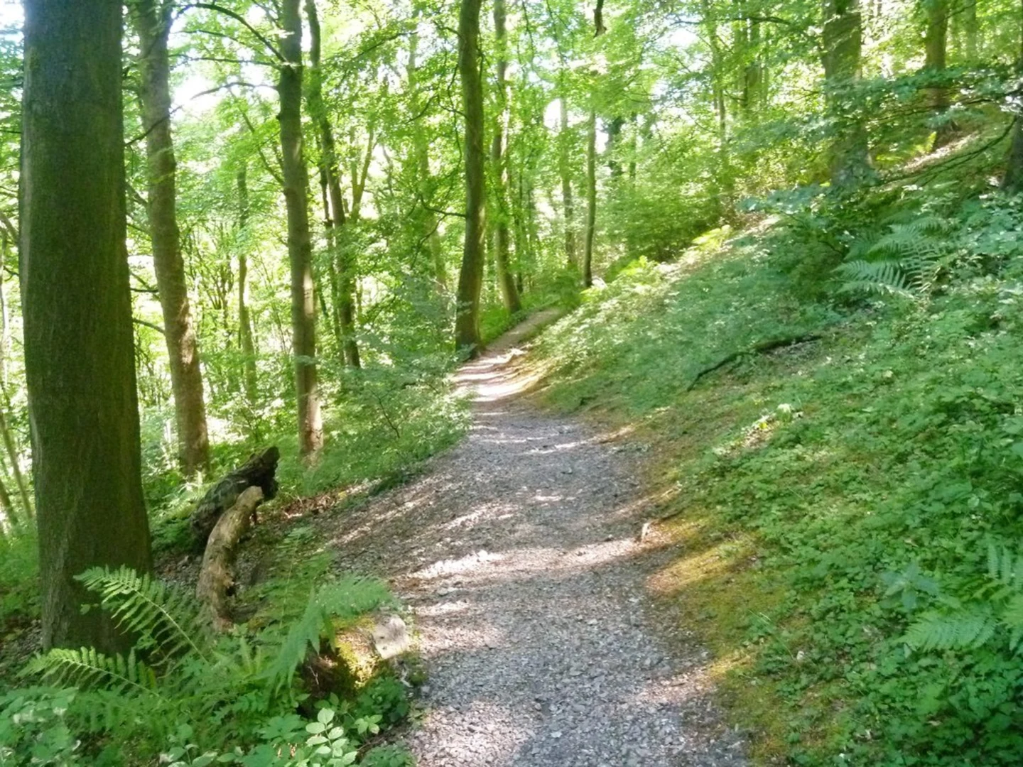 An image depicting the trail Monsal Head to Ashford in the Water Loop via River Wye and its surrounding area.