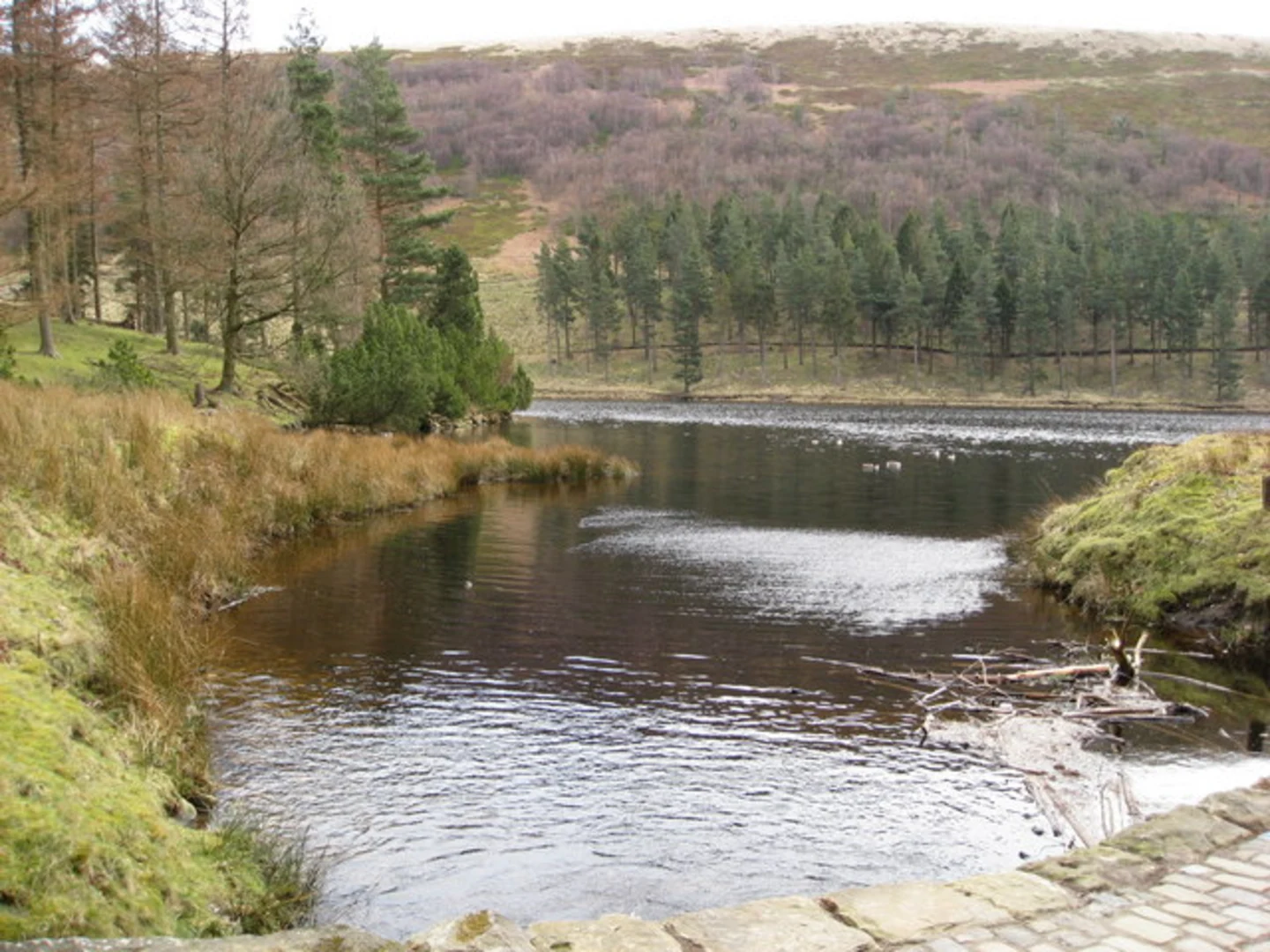 An image depicting the trail Ladybower and Howden Reservoir Loop and its surrounding area.