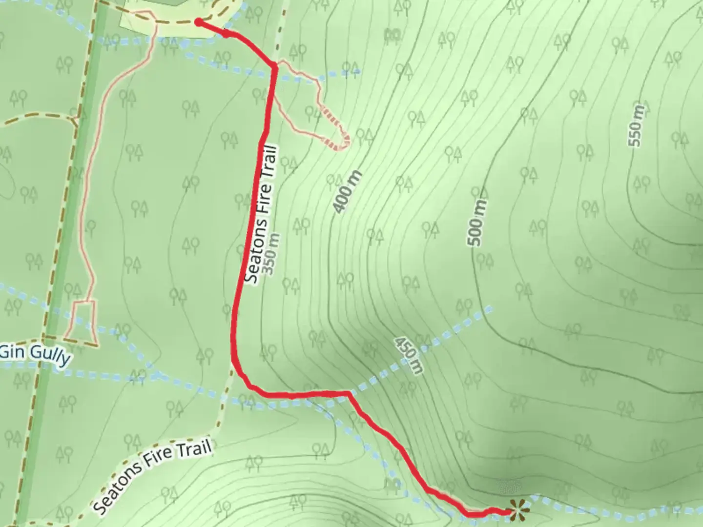 An image depicting the trail Bertha's Gully Track and its surrounding area.