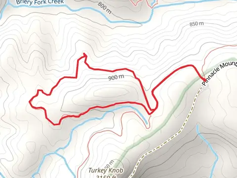 Turkey Knob Road and Poplar Loop Trail