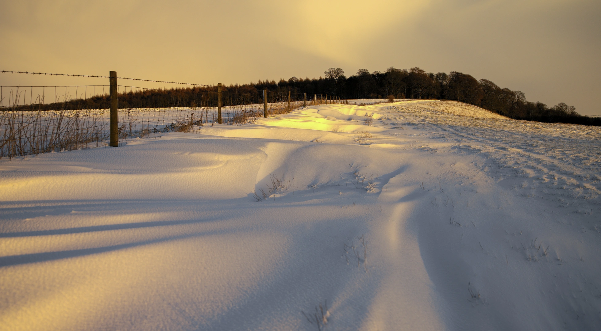 An image depicting the trail Spaunton Moor in North York Moors and its surrounding area.