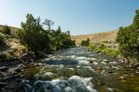 An image depicting the trail Rescue Creek Trail and its surrounding area.