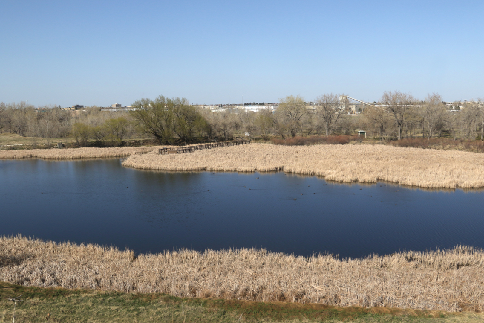 An image depicting the trail Bluff Lake Loop and its surrounding area.