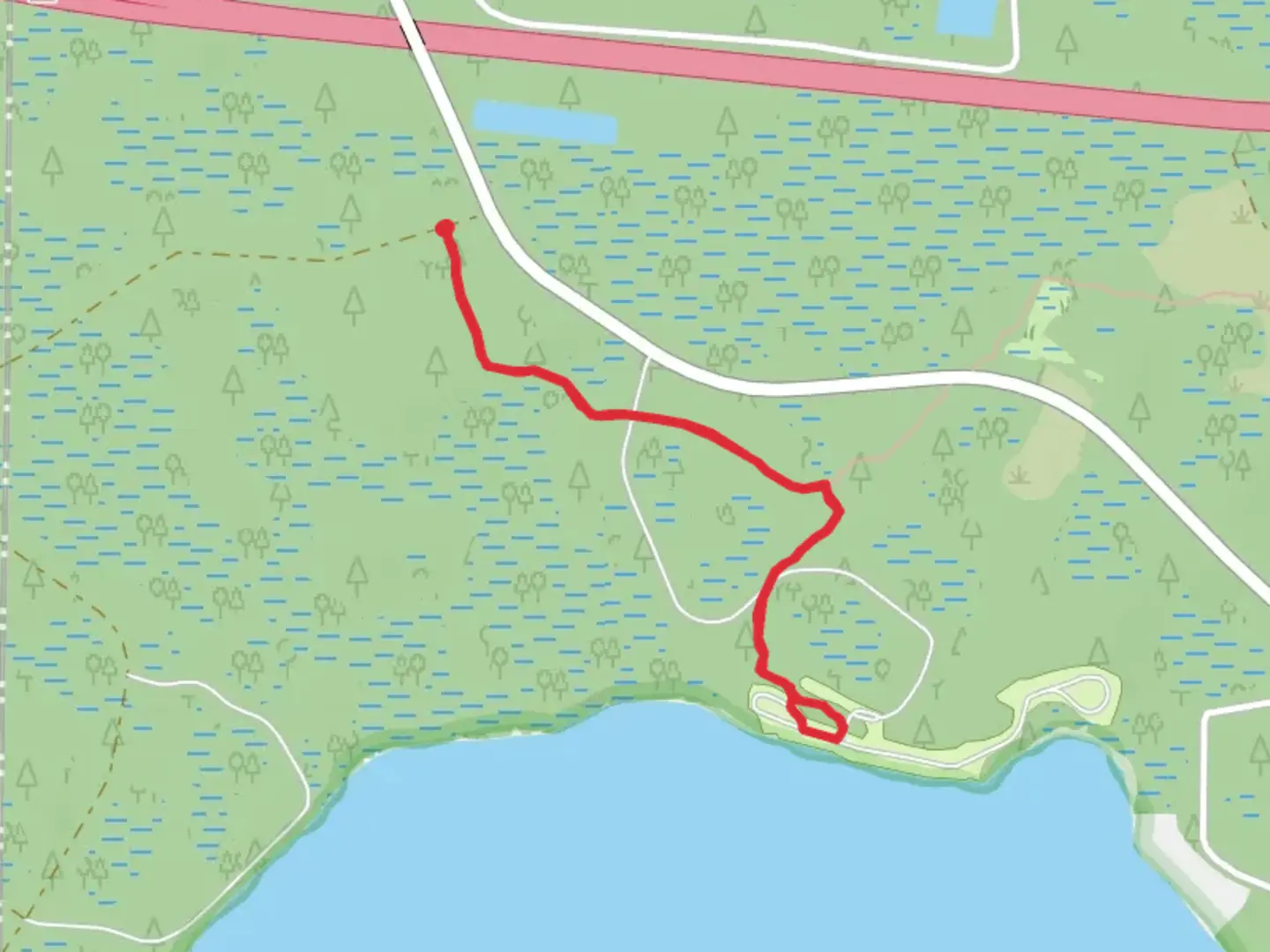 An image depicting the trail Osceola National Forest Trail and its surrounding area.