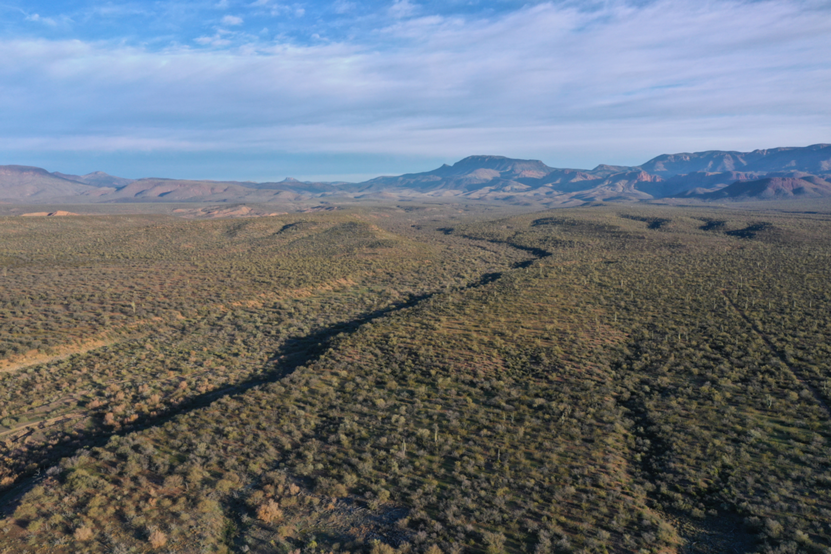 An image depicting the trail Center Mountain Trail and its surrounding area.