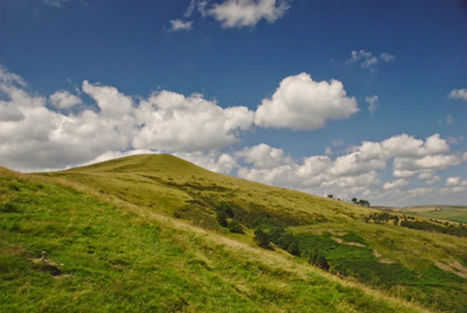 An image depicting the trail Greendale Wood and Lord's Seat Loop and its surrounding area.