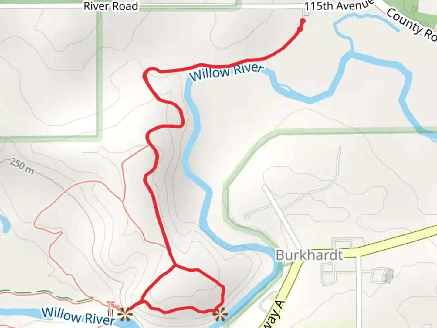 An image depicting the trail Willow Falls via Burkhardt Loop Trail and its surrounding area.